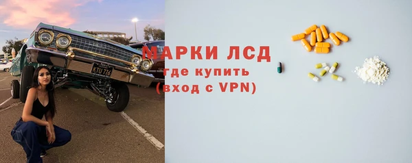 трава Лабытнанги