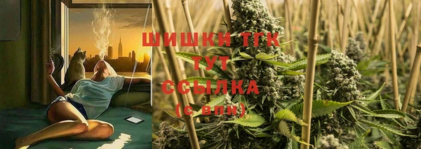 гидра Лагань