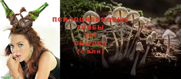 трава Лабытнанги