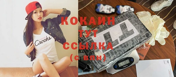 гидра Лагань