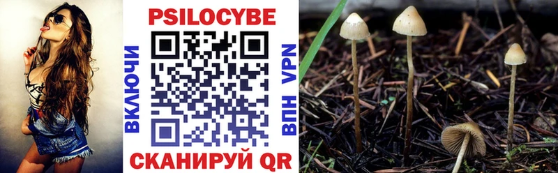 купить наркотик  Иваново  Псилоцибиновые грибы мицелий 