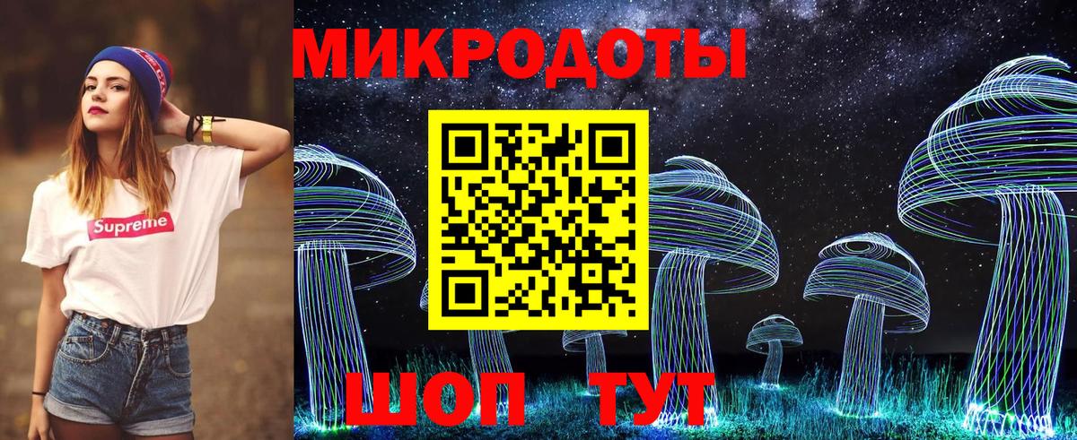 Псилоцибиновые грибы мицелий Иваново