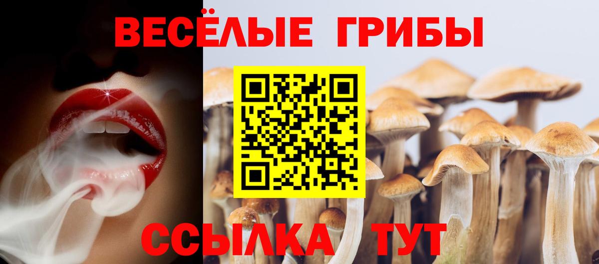 Галлюциногенные грибы GOLDEN TEACHER Иваново
