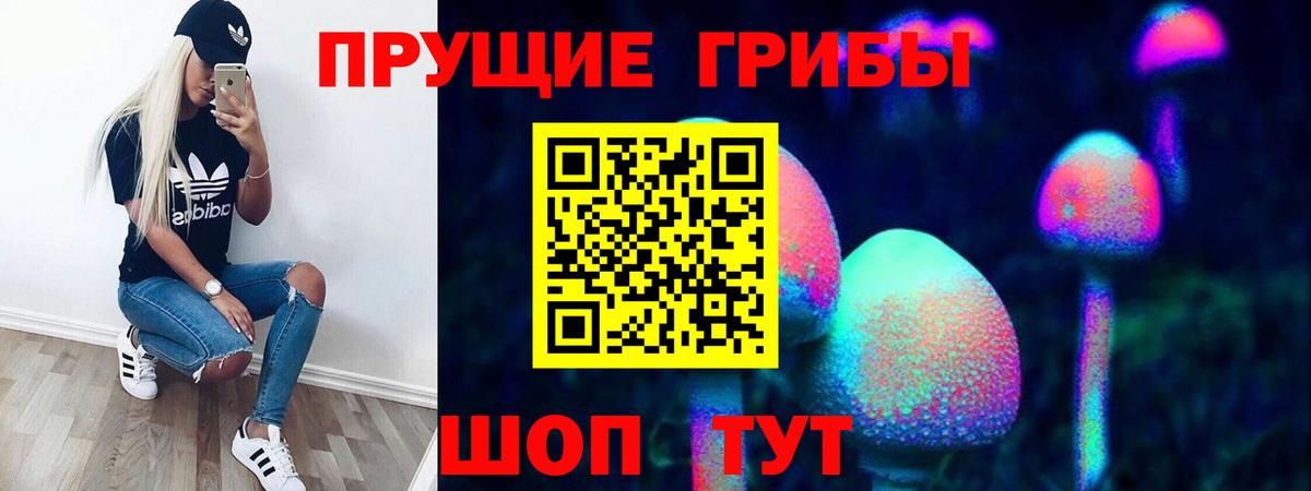 Иваново  Псилоцибиновые грибы MAGIC MUSHROOMS  Вход с VPN 